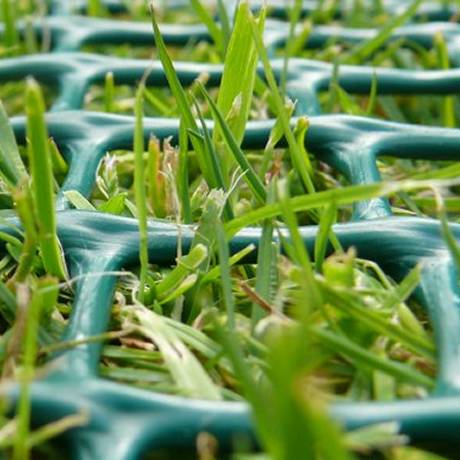Linear green plastic mesh with square mesh opening for turf reinforcement and green grass grow out